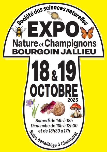 affiche-expo-1
