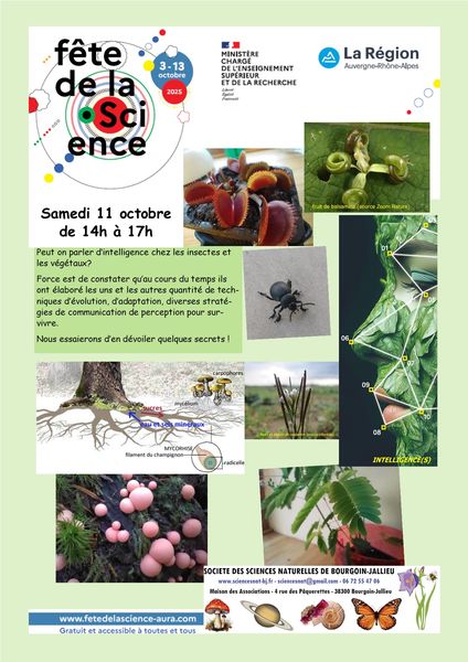 affiche-ssnbj-1