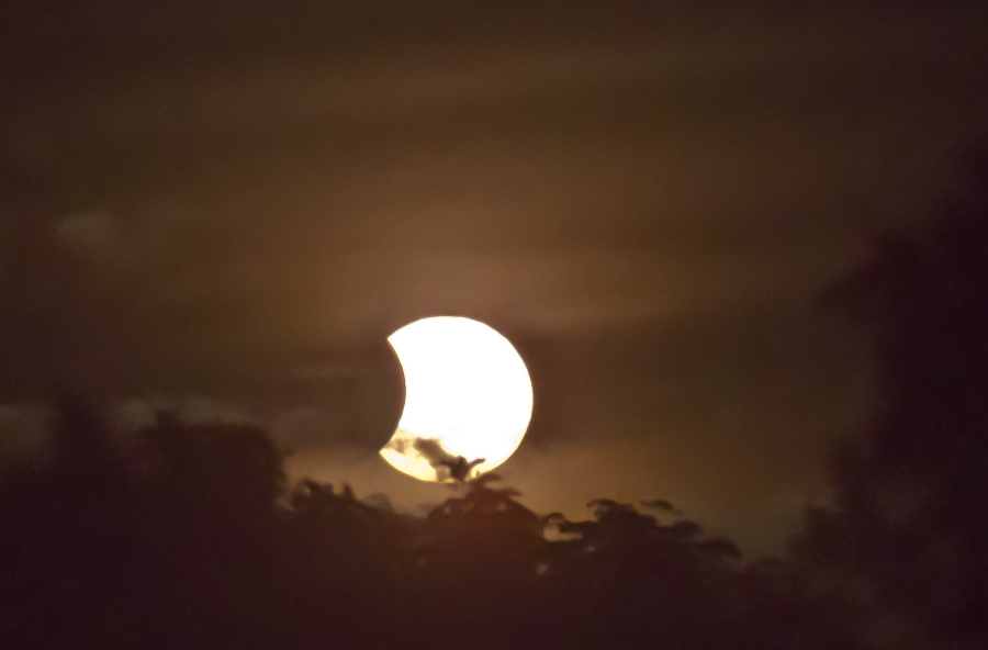 sandid-eclipses-434338